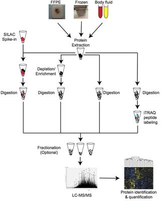 Quantitative Mass Spectrometry-Based Proteomic Profiling for Precision Medicine in Prostate Cancer